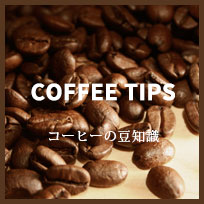 コーヒーの豆知識