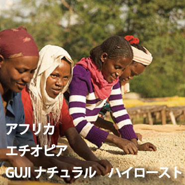 【ハイロースト】エチオピア　「GUJIナチュラル」　【500g】