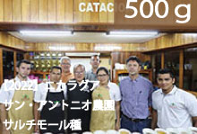 【2022】ニカラグア　「サン・アントニオ農園」サルチモール種【500g】