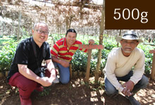 【間もなく完売致します】ニカラグア　ラ・エスコンディーダ農園　ラウリーナ【500g】