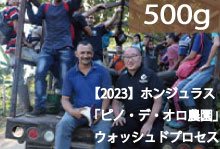 【2023】ホンジュラス「ピノ・デ・オロ農園」ウォッシュドプロセス【500g】【月・水・金焙煎】
