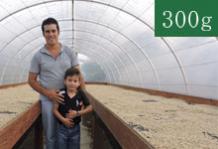 【お陰様で完売いたしました】2015年ホンジュラスCOE　ラ・モンタニタス農園【300g】