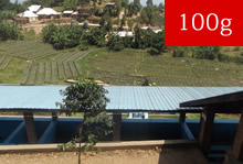 ルワンダCOE2015　第10位　ニャムンバ ウォッシングステーション【100g】