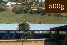 ルワンダCOE2015　第10位　ニャムンバ ウォッシングステーション【500g】