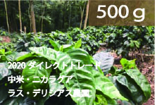 【完売御礼】ニカラグア　ラス・デリシアス農園　ナチュラルプロセス【500g】