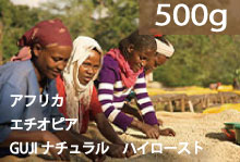【ハイロースト】エチオピア　「GUJIナチュラル」　【500g】