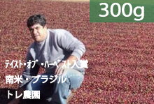 【テイスト・オブ・ハーベスト入賞】ブラジル　トレ農園【300g】