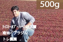 【テイスト・オブ・ハーベスト入賞】ブラジル　トレ農園【500g】