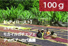 【シティロースト】エチオピア　「モカ　イルガチェフェ　ティベブ・ロバ農園」　【100g】