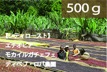【シティロースト】エチオピア　「モカ　イルガチェフェ　ティベブ・ロバ農園」　【500g】