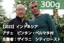 ■【2023】インドネシア　アチェ　ブルー・ガヨ™「生産者:ザイラニ」シティロースト【300g】