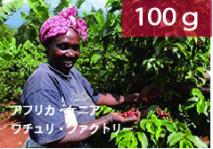 ■【2021】ケニア「ニエリ・ワチュリAA」ウォッシュドプロセス【100g】
