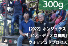 【2022】ホンジュラス「ピノ・デ・オロ農園」ウォッシュドプロセス【300g】【月・水・金焙煎】